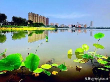 美爆了！大名北湖公園美景來了，一大波高清圖曝光——邯鄲文化網(wǎng)