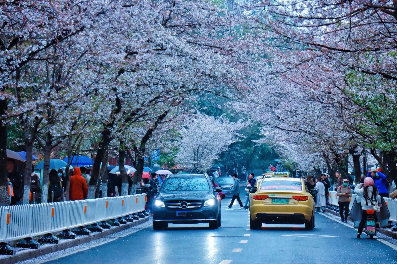 江蘇與安徽交界有座城市，歷史悠久風(fēng)水極佳，曾是世界最大的城市